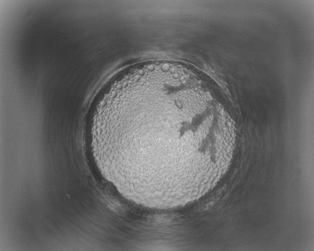 X0000071960103200608041629