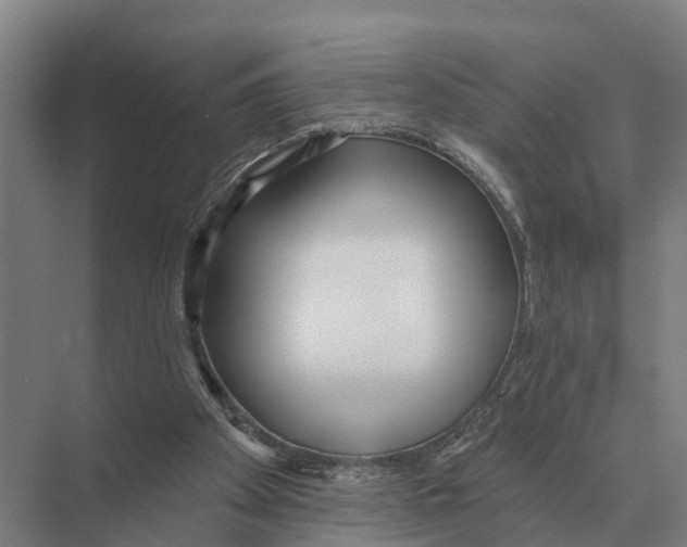 X0000071960105200608041629