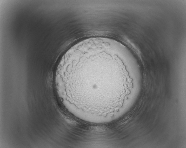 X0000071960107200608041629