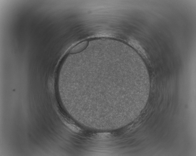 X0000071960108200608041629