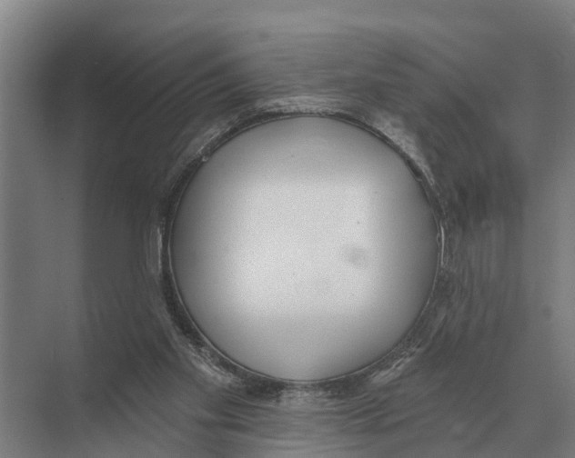 X0000071960109200608041629