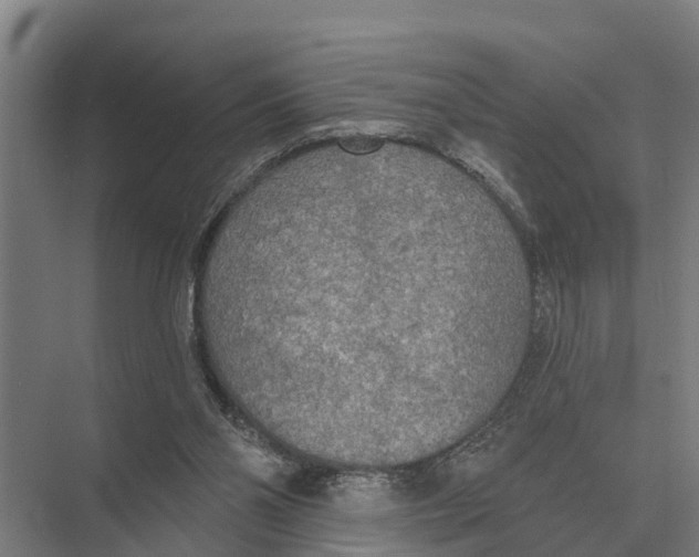 X0000071960110200608041629