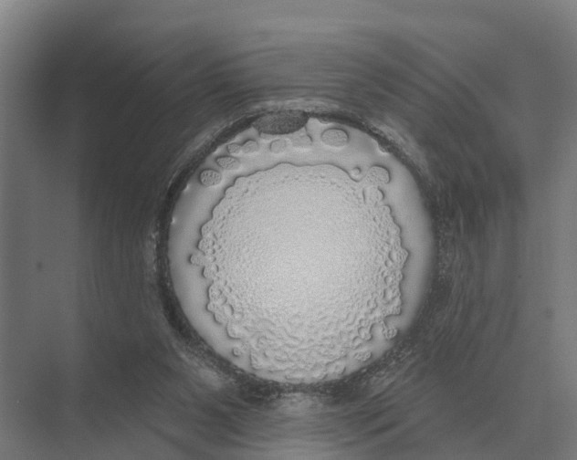 X0000071960111200608041629