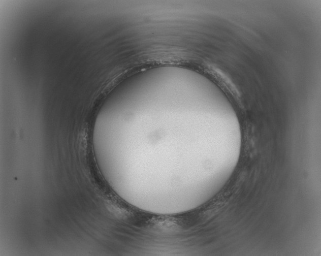 X0000071960113200608041629