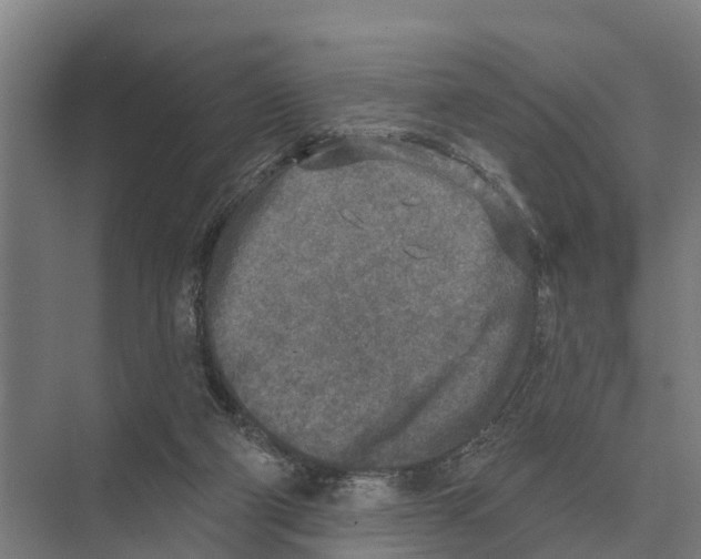 X0000071960114200608041629