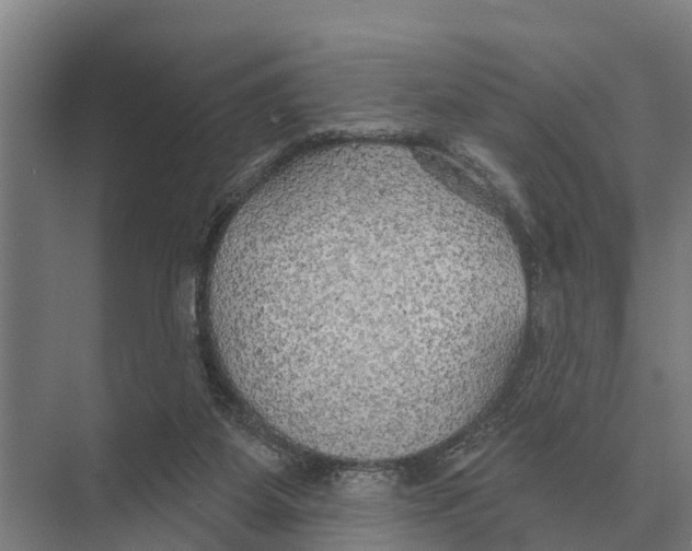 X0000071960115200608041629