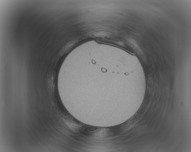 X0000071960116200608041629