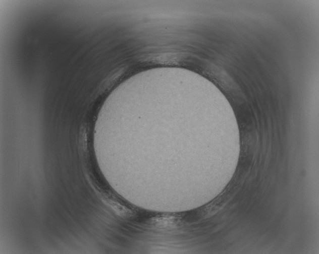 X0000071960120200608041629