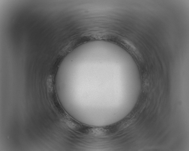 X0000071960121200608041629