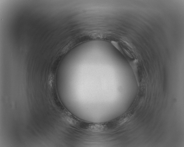 X0000071960125200608041629