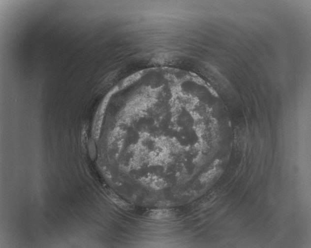 X0000071960127200608041629