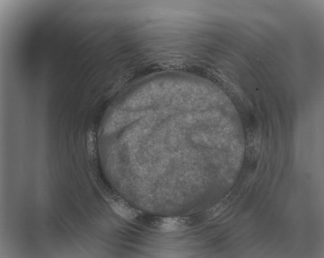 X0000071960130200608041629