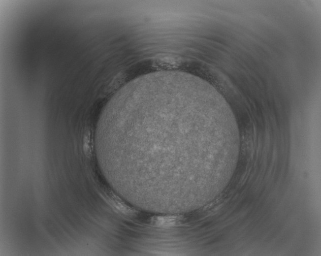 X0000071960134200608041629