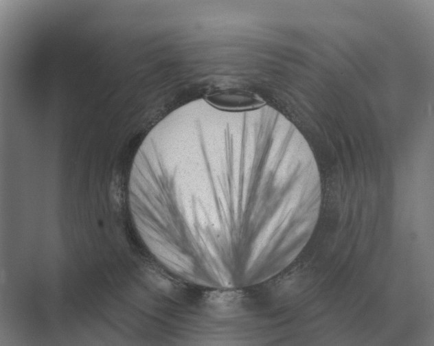 X0000071960135200608041629