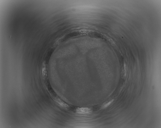 X0000071960137200608041629