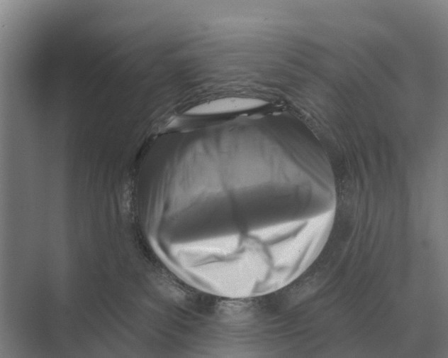 X0000071960139200608041629