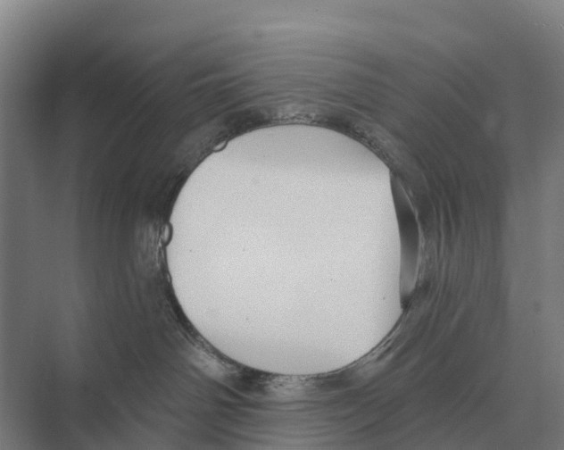 X0000071960142200608041629