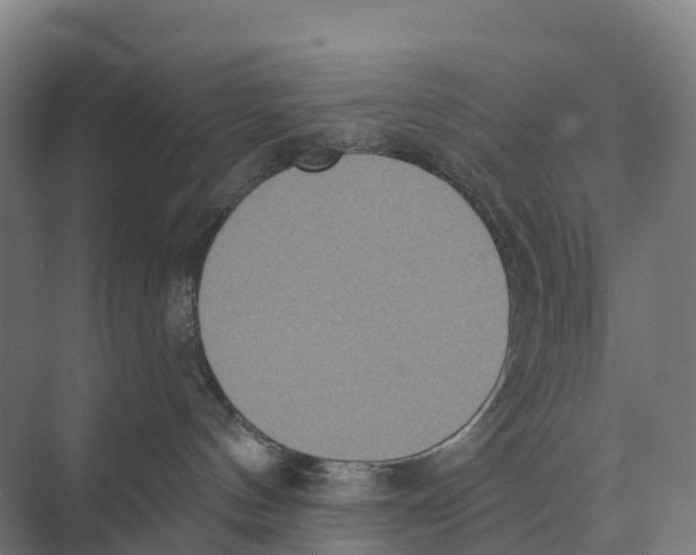 X0000071960144200608041629