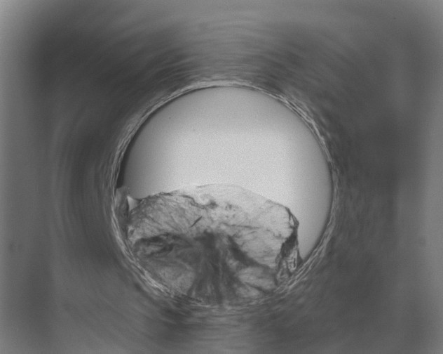 X0000071960145200608041628