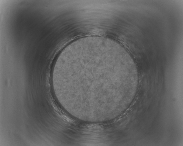 X0000071960146200608041628