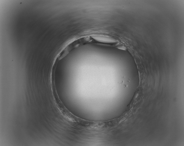 X0000071960148200608041628