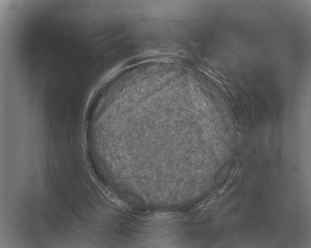 X0000071960149200608041628