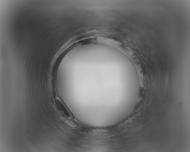 X0000071960150200608041628