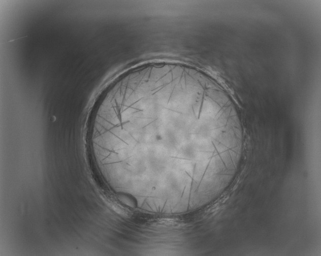 X0000071960151200608041628