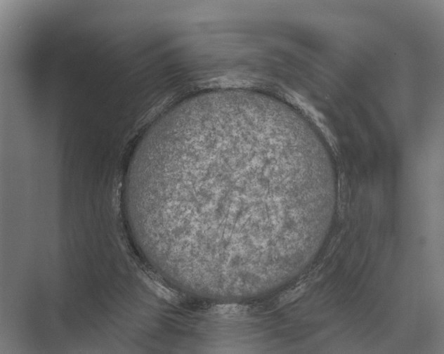 X0000071960153200608041628