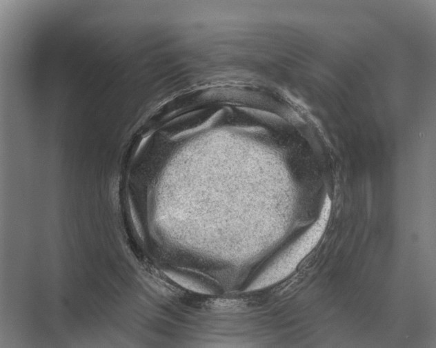 X0000071960154200608041628