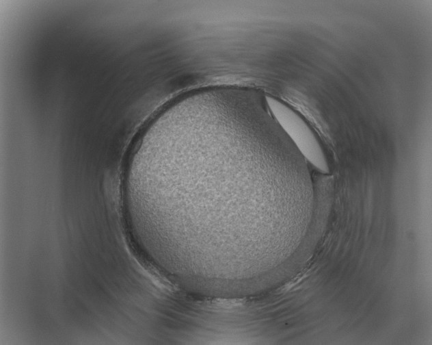 X0000071960156200608041628