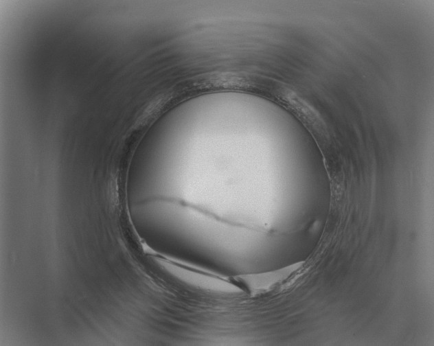 X0000071960158200608041628