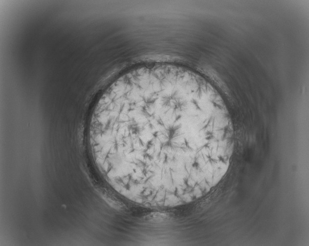 X0000071960159200608041628