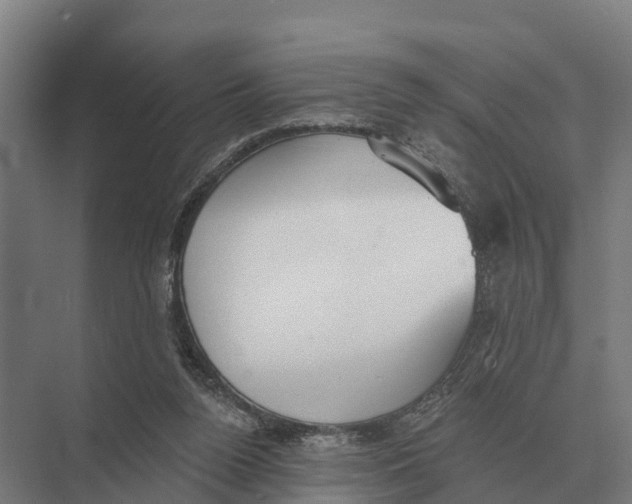 X0000071960160200608041628