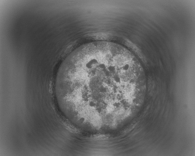 X0000071960161200608041628