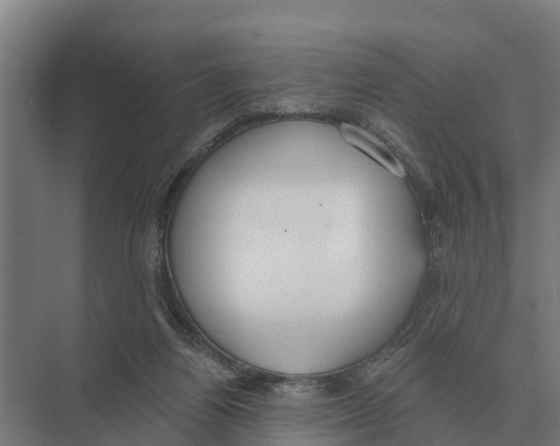 X0000071960164200608041628