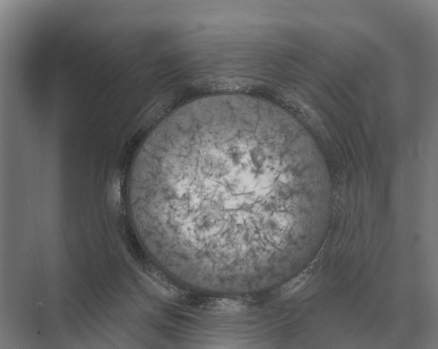 X0000071960166200608041628