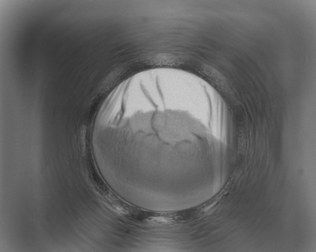 X0000071960167200608041628