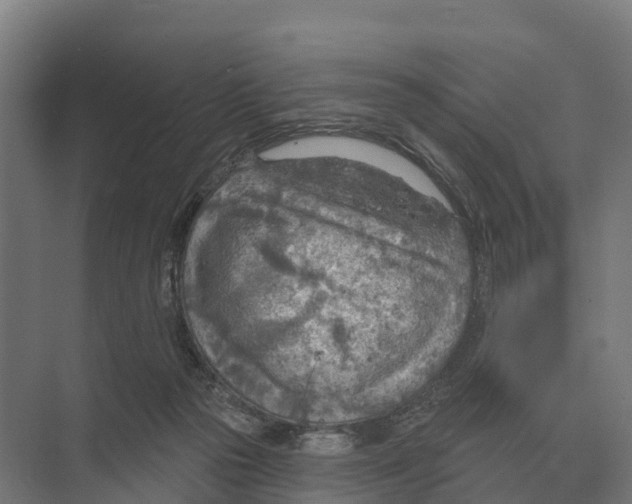 X0000071960169200608041628