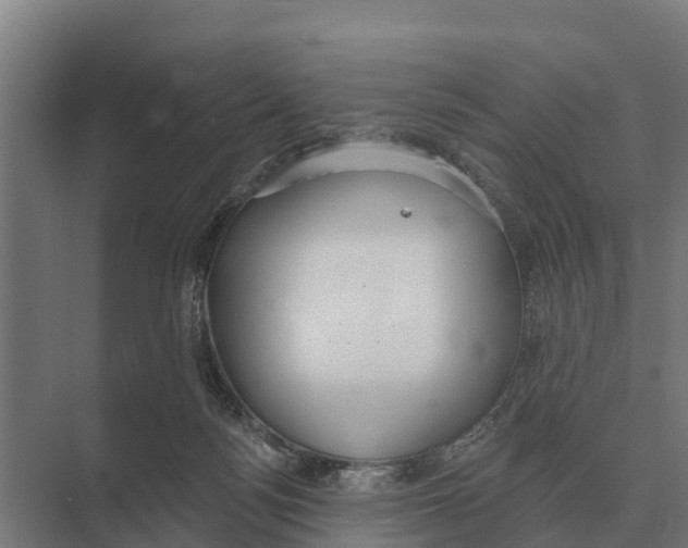 X0000071960172200608041628