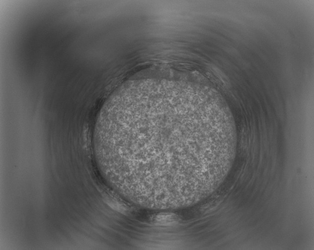 X0000071960173200608041628