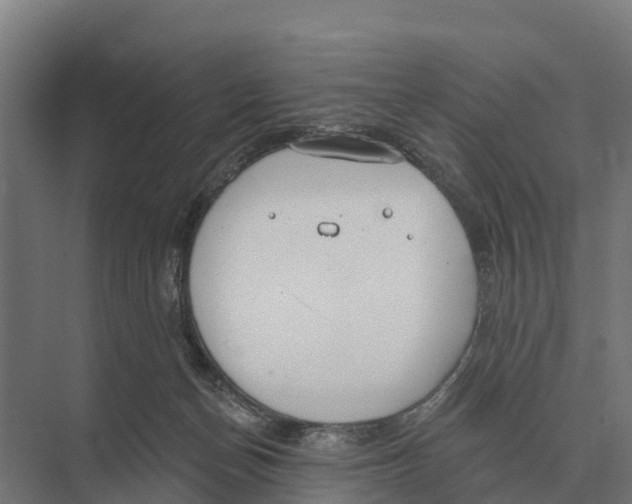 X0000071960174200608041628