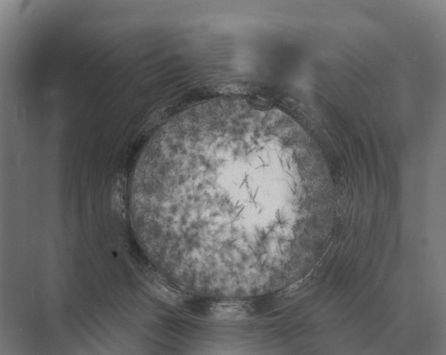 X0000071960175200608041628