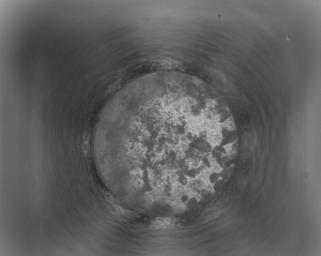 X0000071960177200608041628