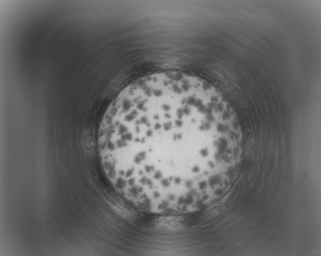 X0000071960179200608041629