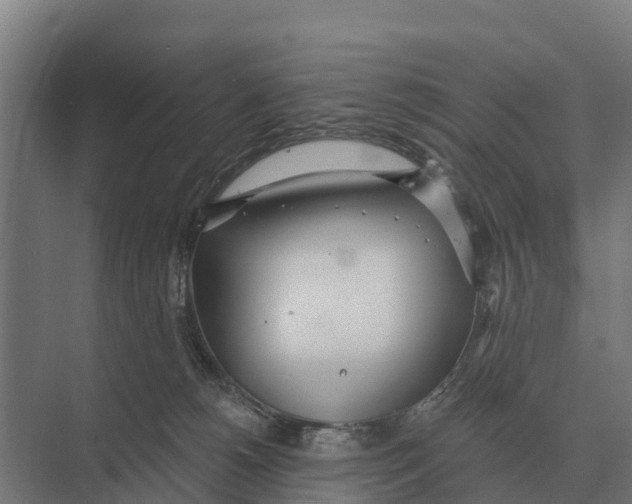 X0000071960180200608041629