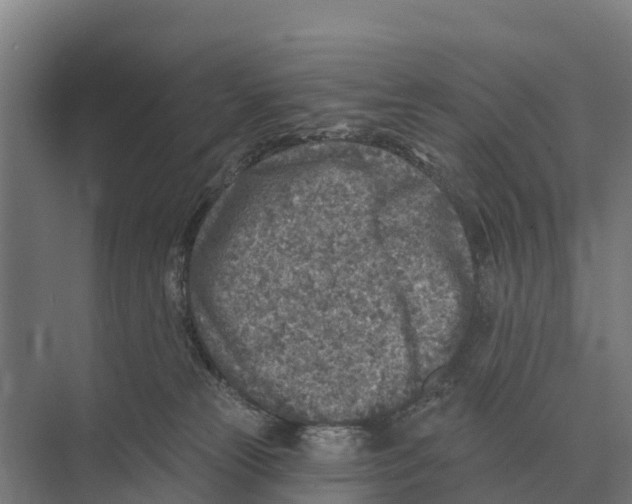 X0000071960181200608041629