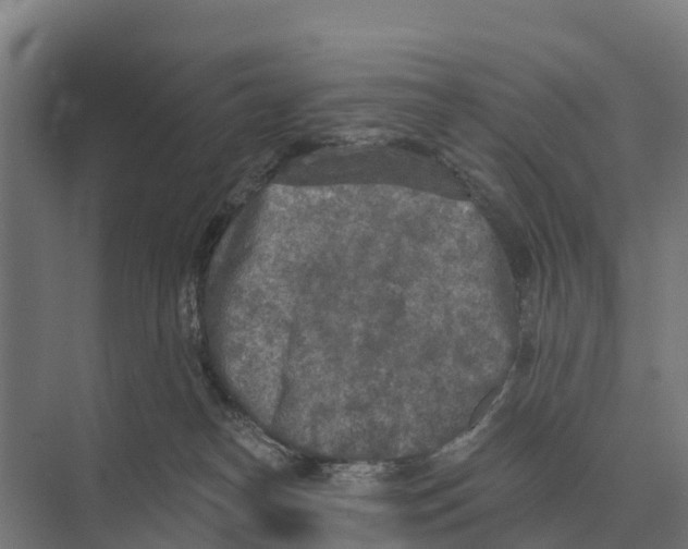 X0000071960182200608041629