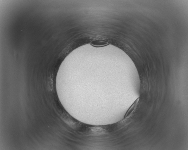 X0000071960183200608041629