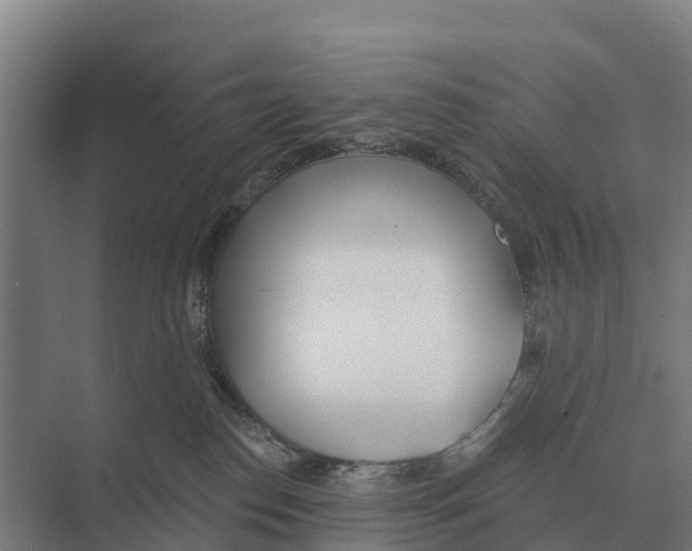 X0000071960186200608041629